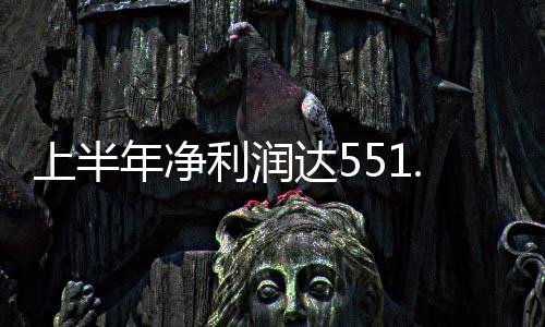 上半年净利润达551.1亿元 华为全年营收将达8000亿元？