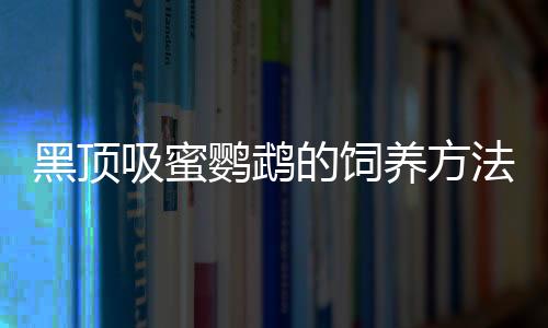 黑顶吸蜜鹦鹉的饲养方法 黑顶吸蜜鹦鹉的价格